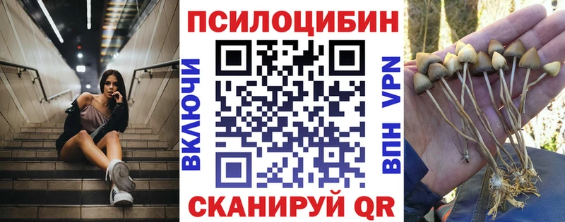 Галлюциногенные грибы Psilocybine cubensis Морозовск